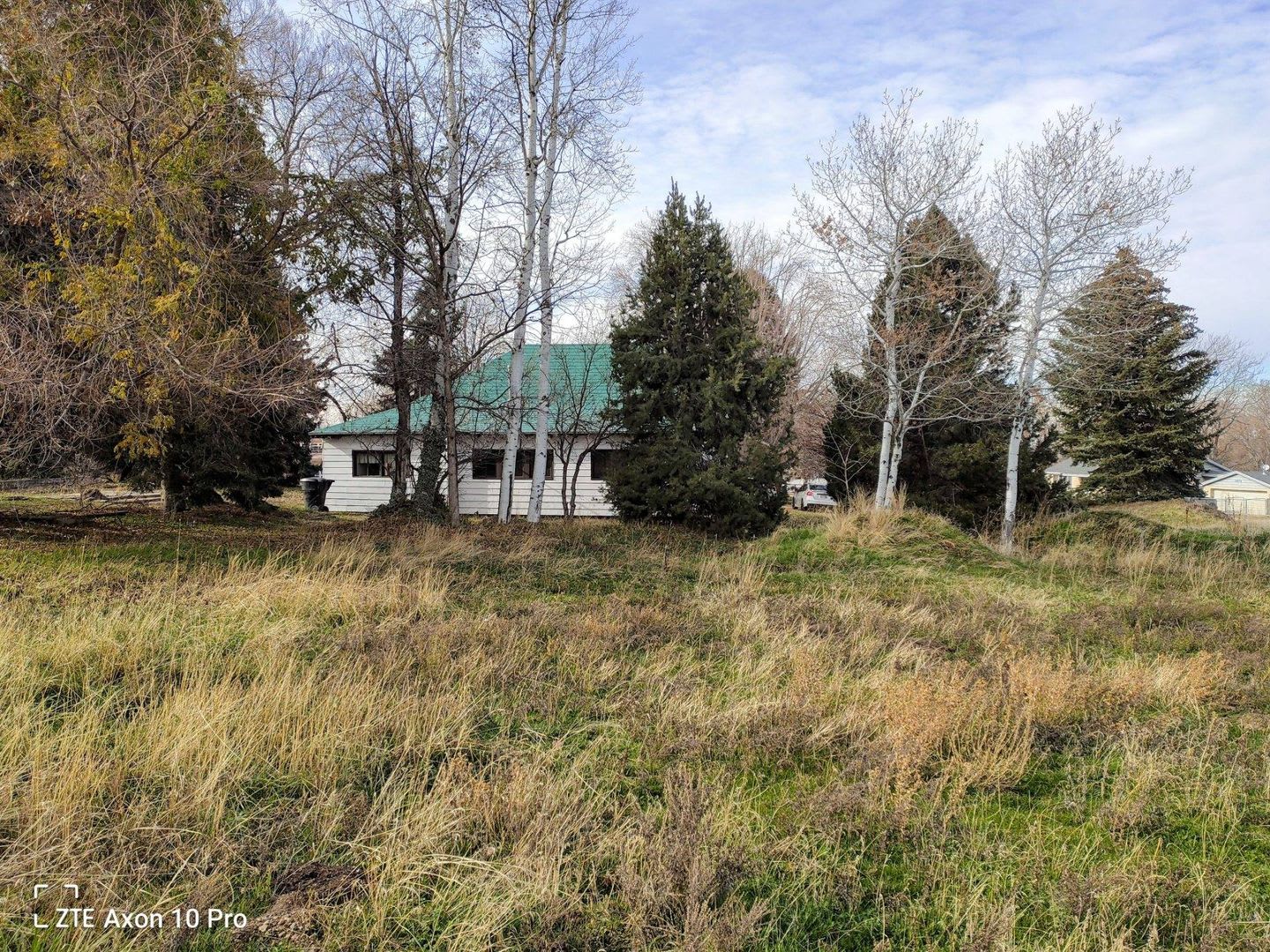 Historic Home On Large 1 Acre Property – photo 3