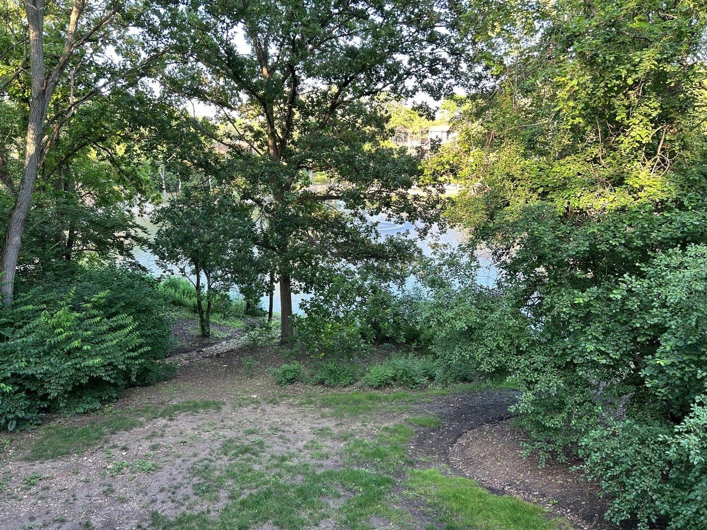 6019 Forest View Road – photo 5