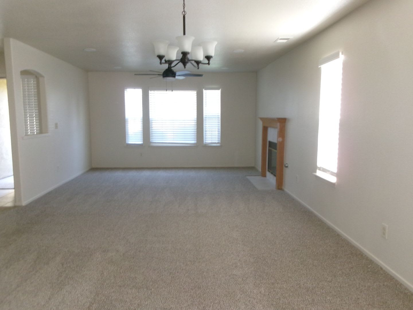 218 Idlewild Drive – photo 5