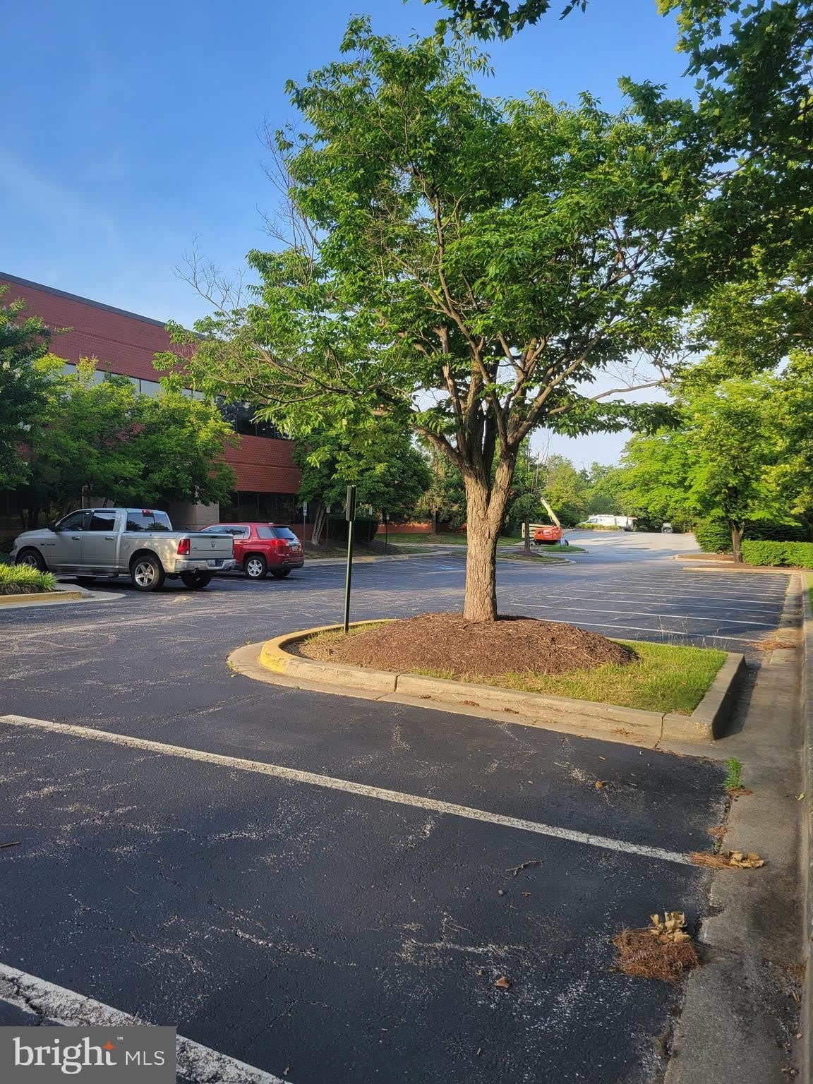 4221 FORBES Boulevard – photo 2