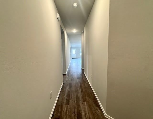 3509 Pete Street – photo 5