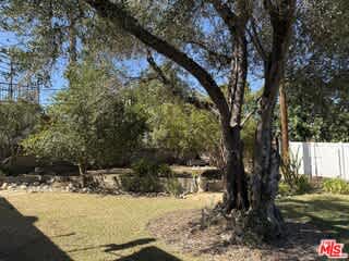 214 Sequoia Drive – photo 2