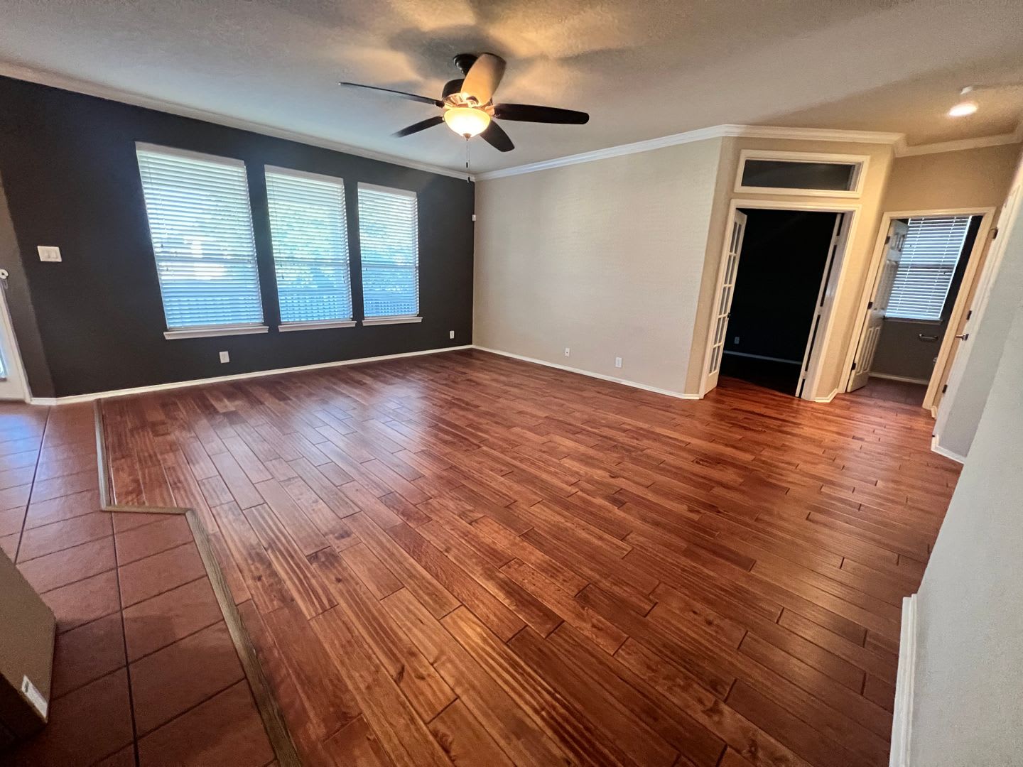 6314 Palmetto Way — Alamo Ranch – photo 5