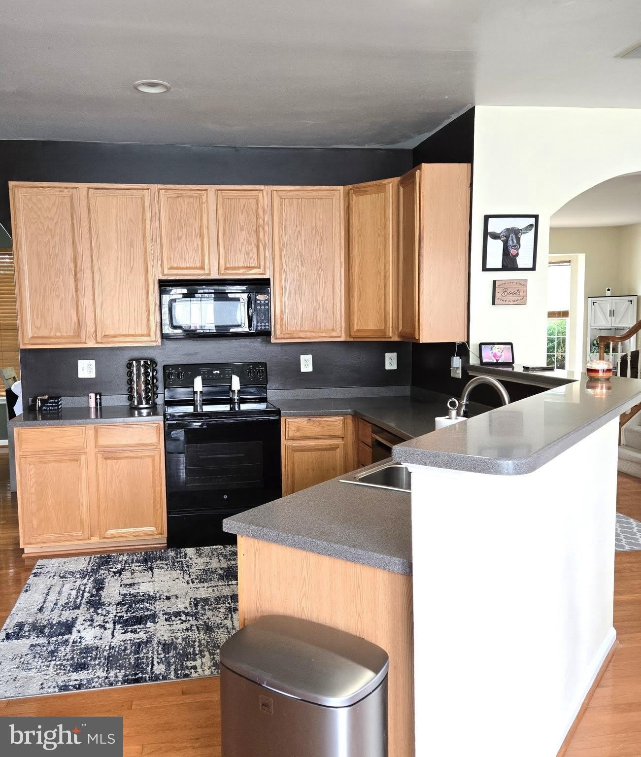 48 BATTLEFIELD Drive – photo 2