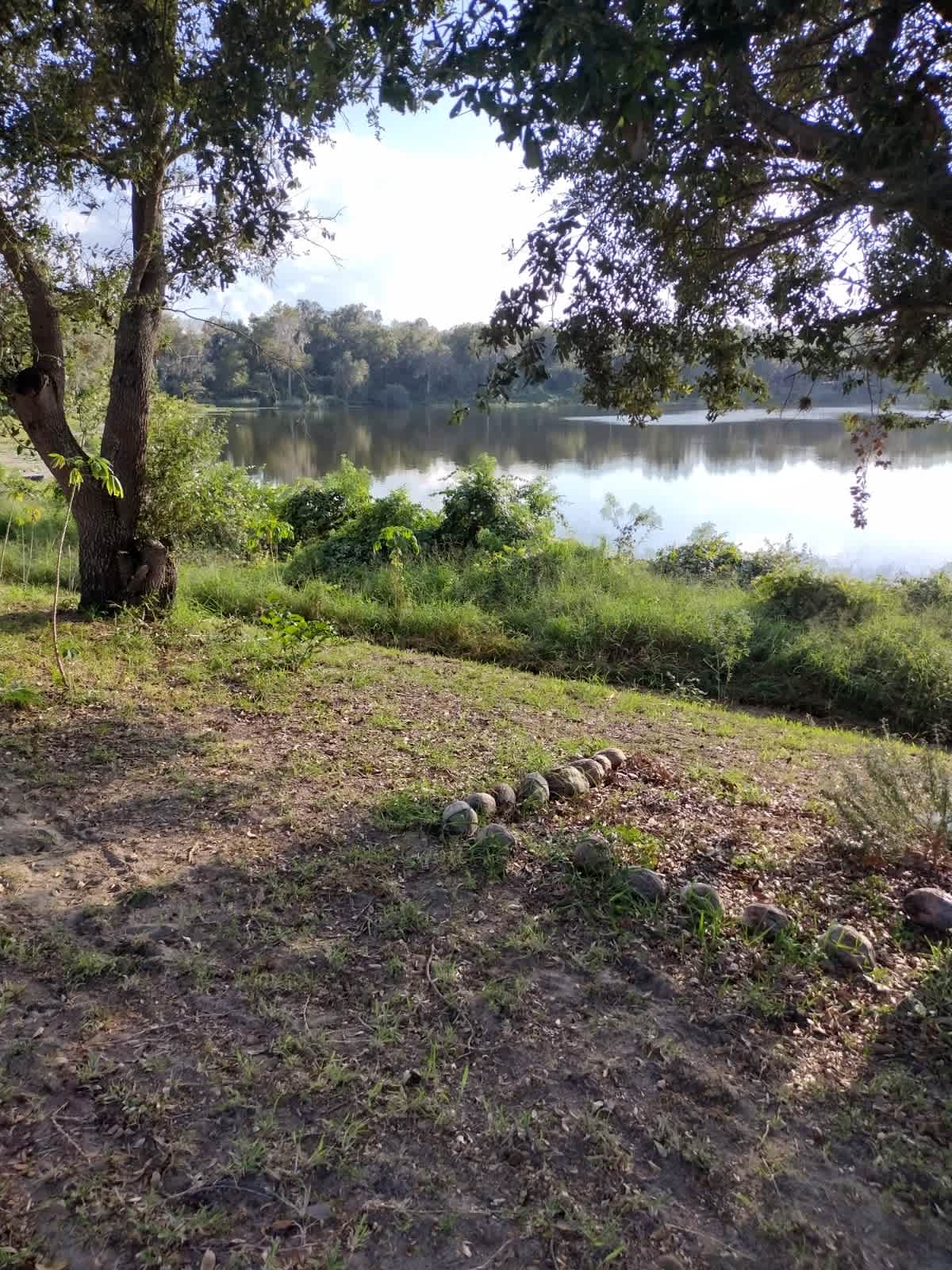 334 Lake Shepard Drive – photo 5