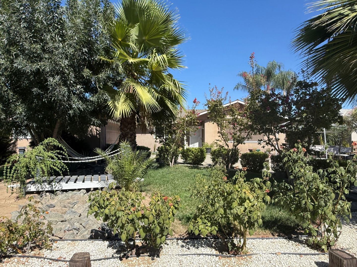 Spacious 3 Bedroom 2 Bath Home in Dinuba. – photo 2