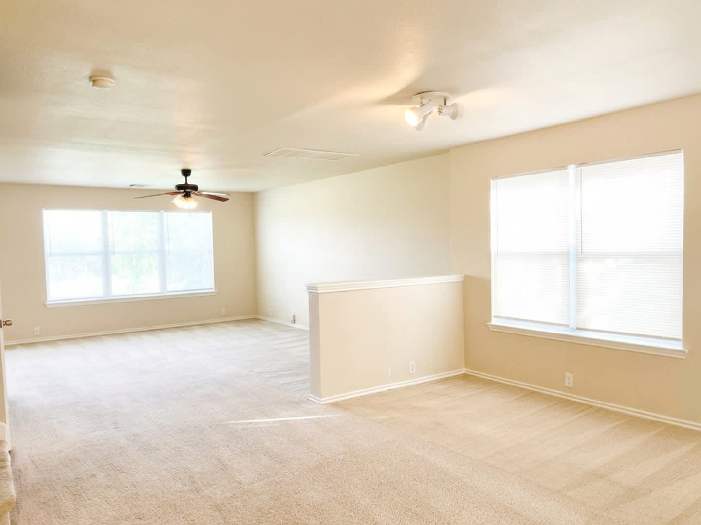 8011 Hoosier Park, Selma, TX 78154 – photo 4