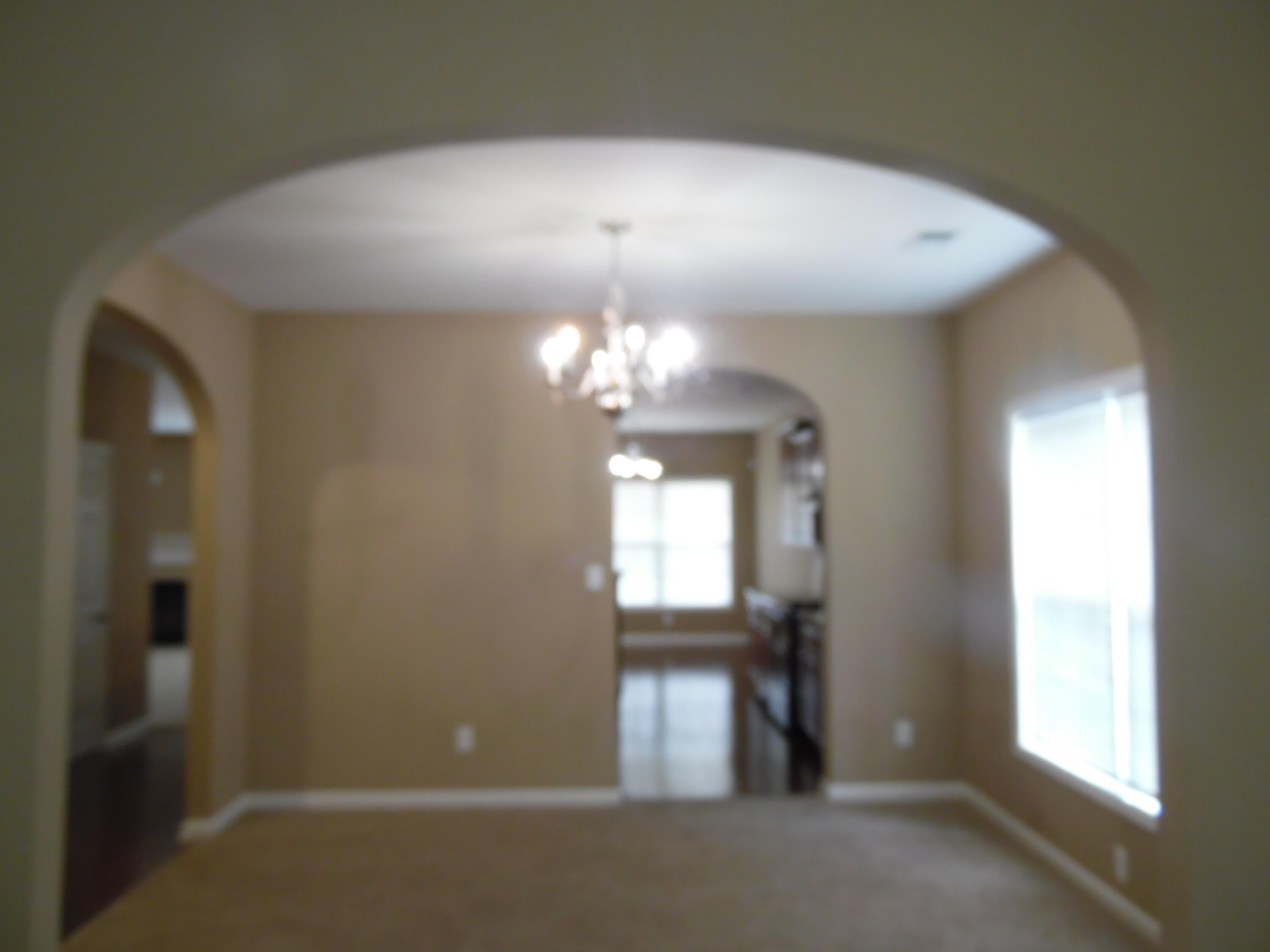 541 Bulrush Trace – photo 2