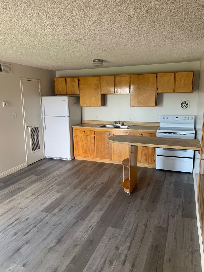1 Bedroom 1 Bath In Central Las Vegas – photo 4