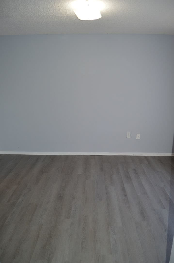 Spacious Studio in Maitland! – photo 5