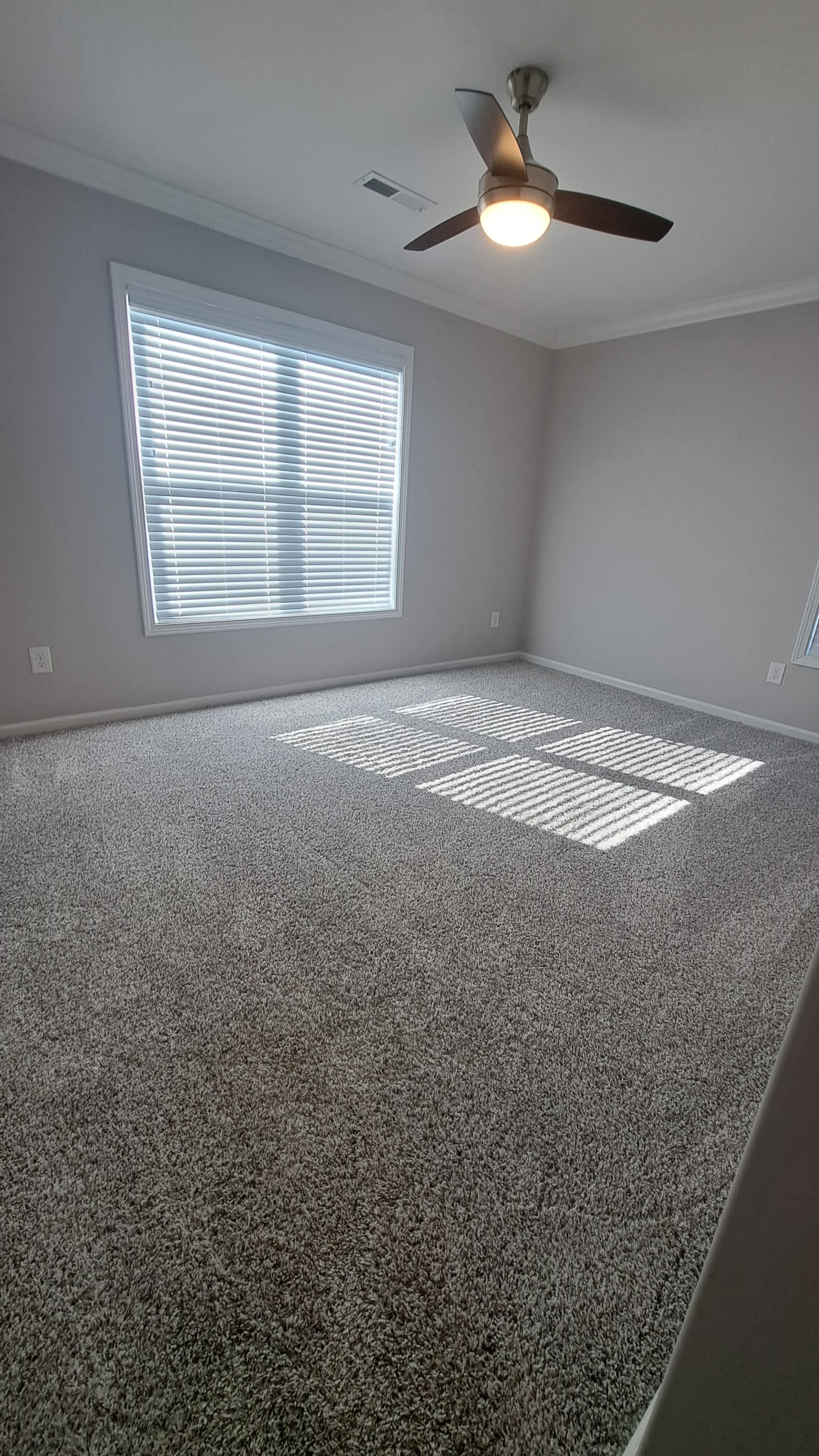 228 Patriot Drive – photo 5