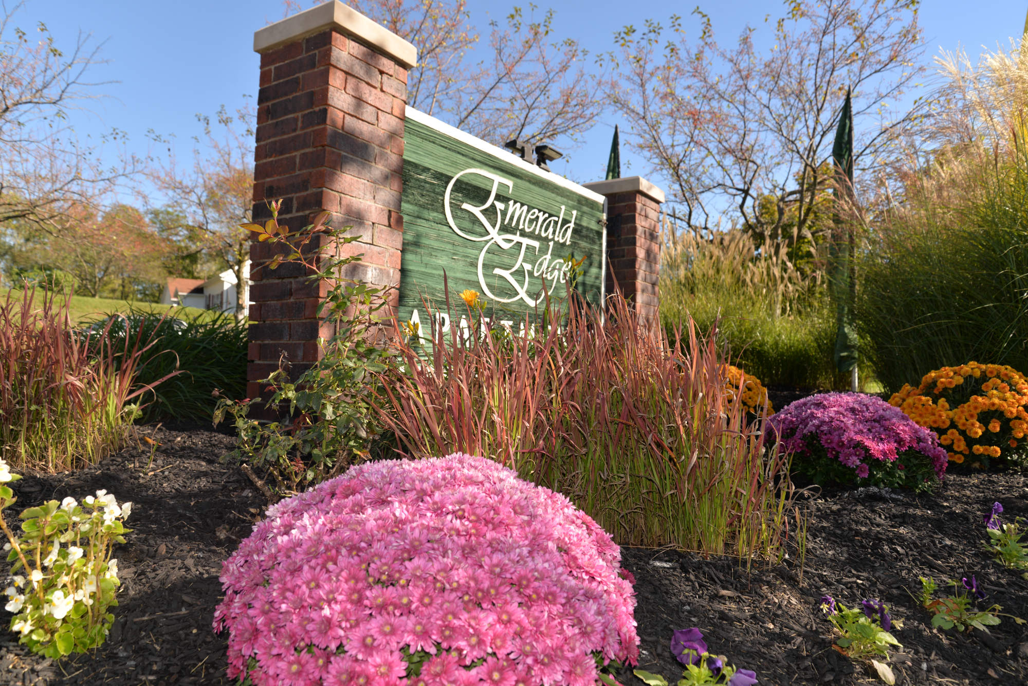 Emerald Edge Apartments – photo 4
