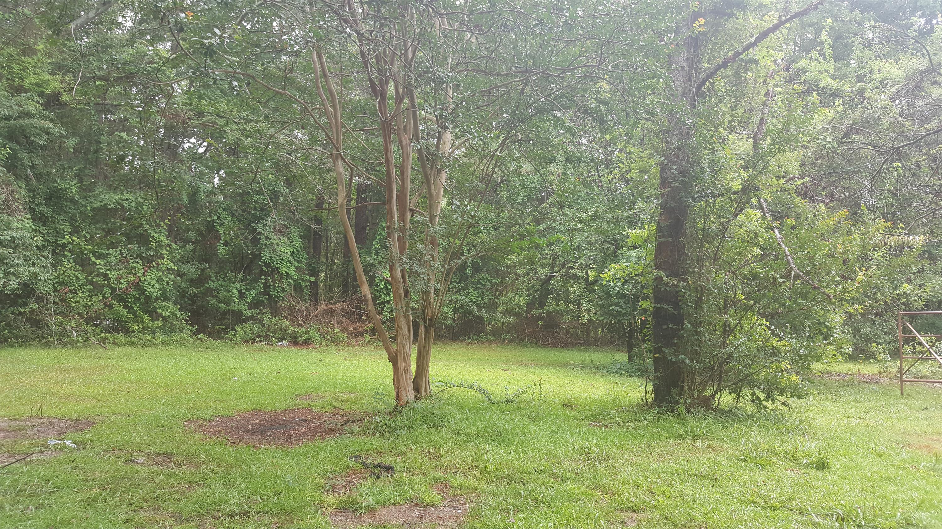 1207 Hampton Road – photo 3