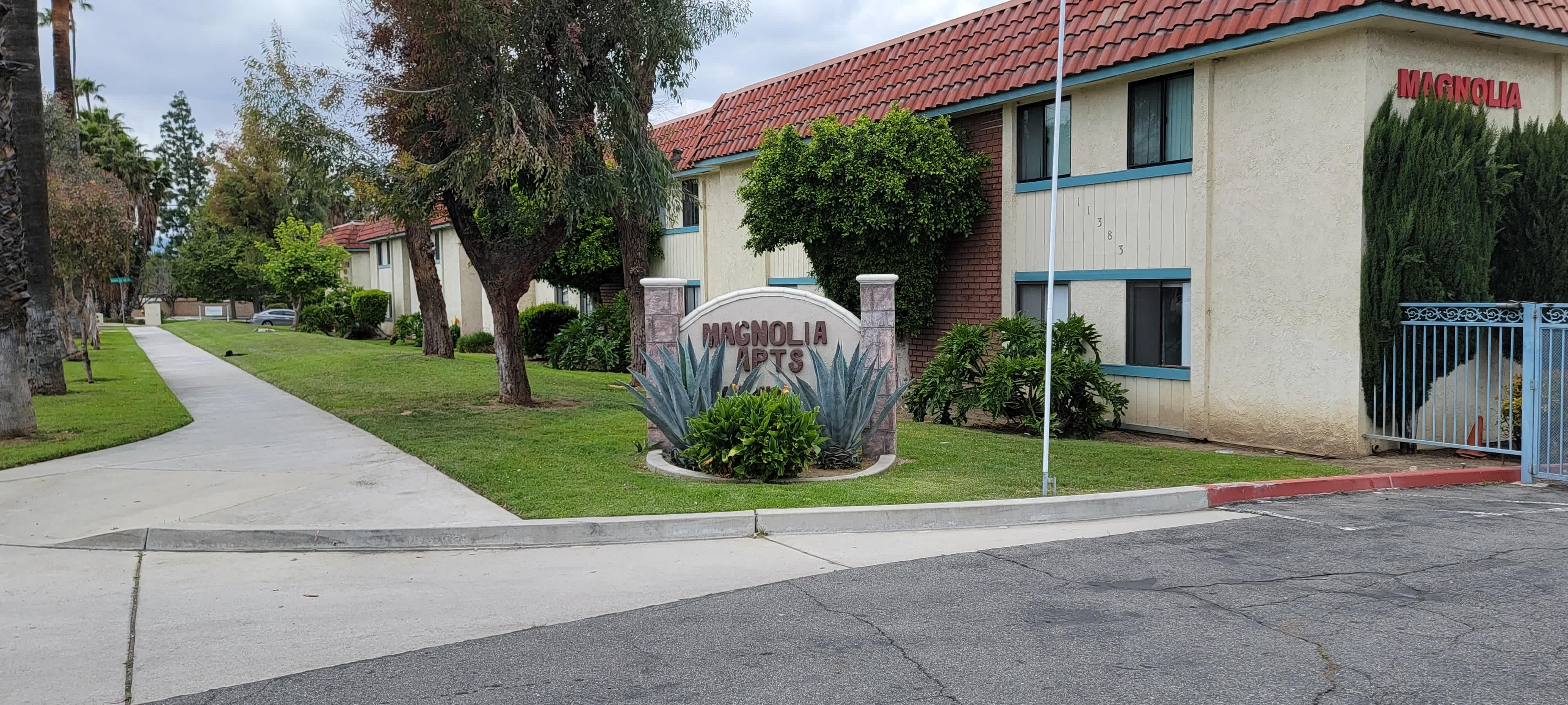 Magnolia – photo 1