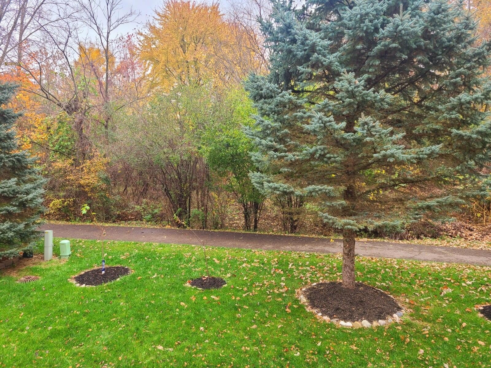 16544 Mulberry Way – photo 5