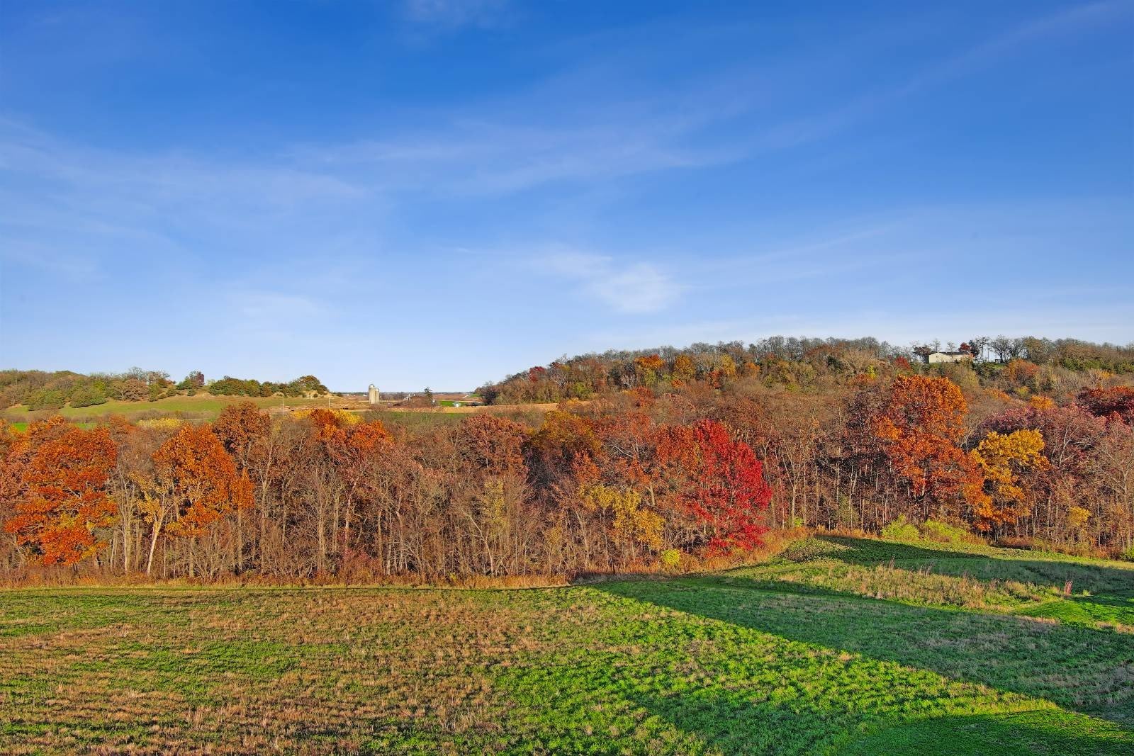 534 Hanover HIll Ln – photo 5