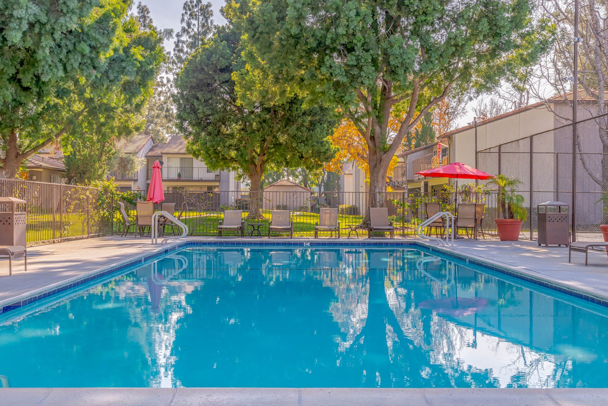 Citrus Grove Apartments – photo 2