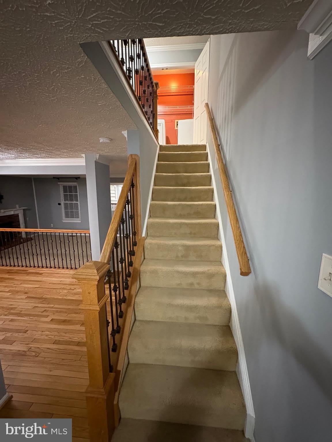 10811 TOPBRANCH Lane – photo 4
