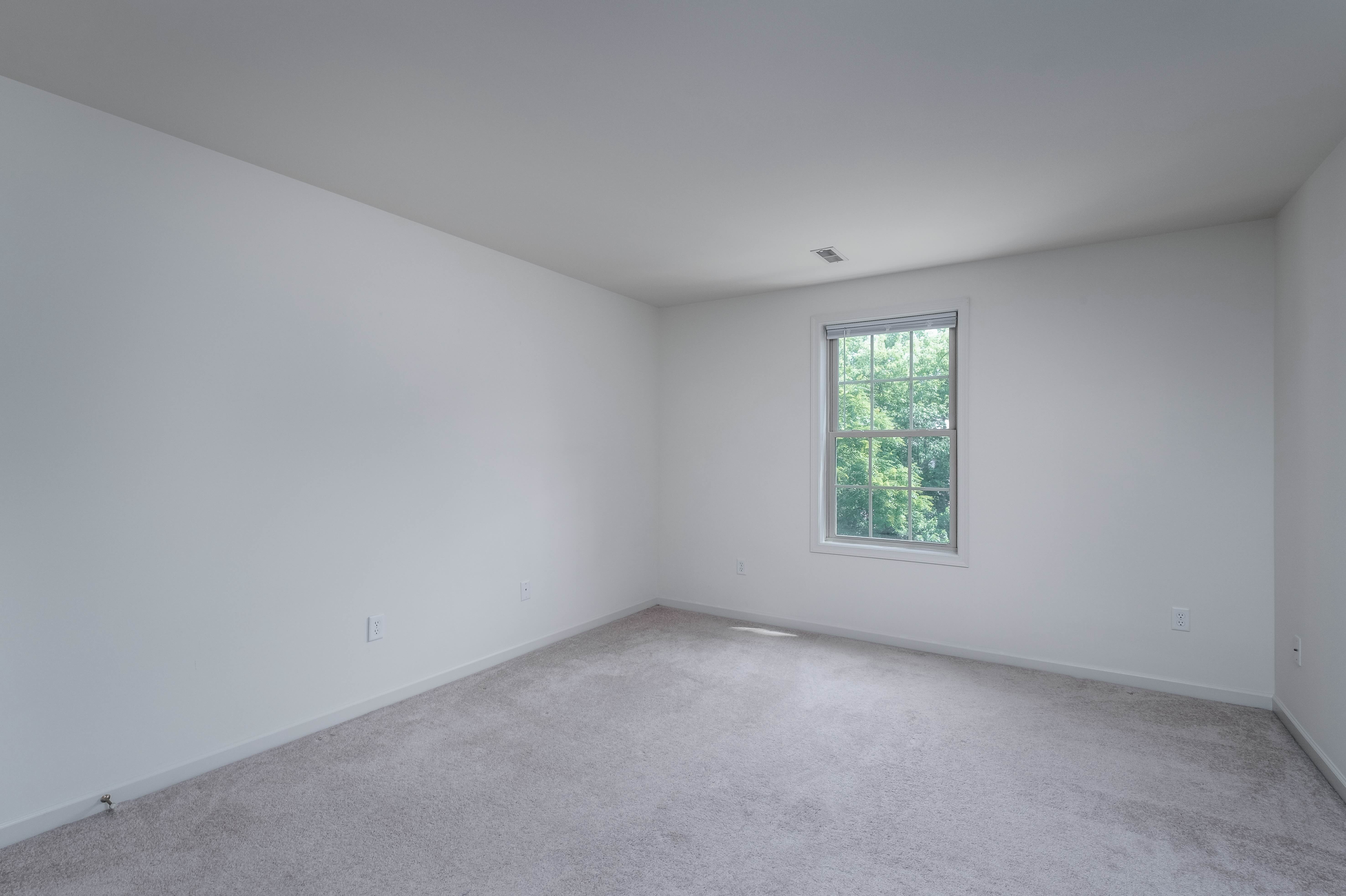 172 Hampden Drive – photo 5