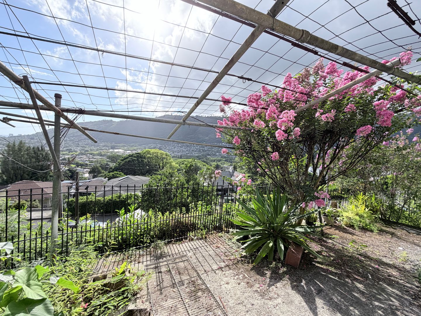 Large 5 Bedroom + Den Single-Family Home in Desirable Manoa – photo 2