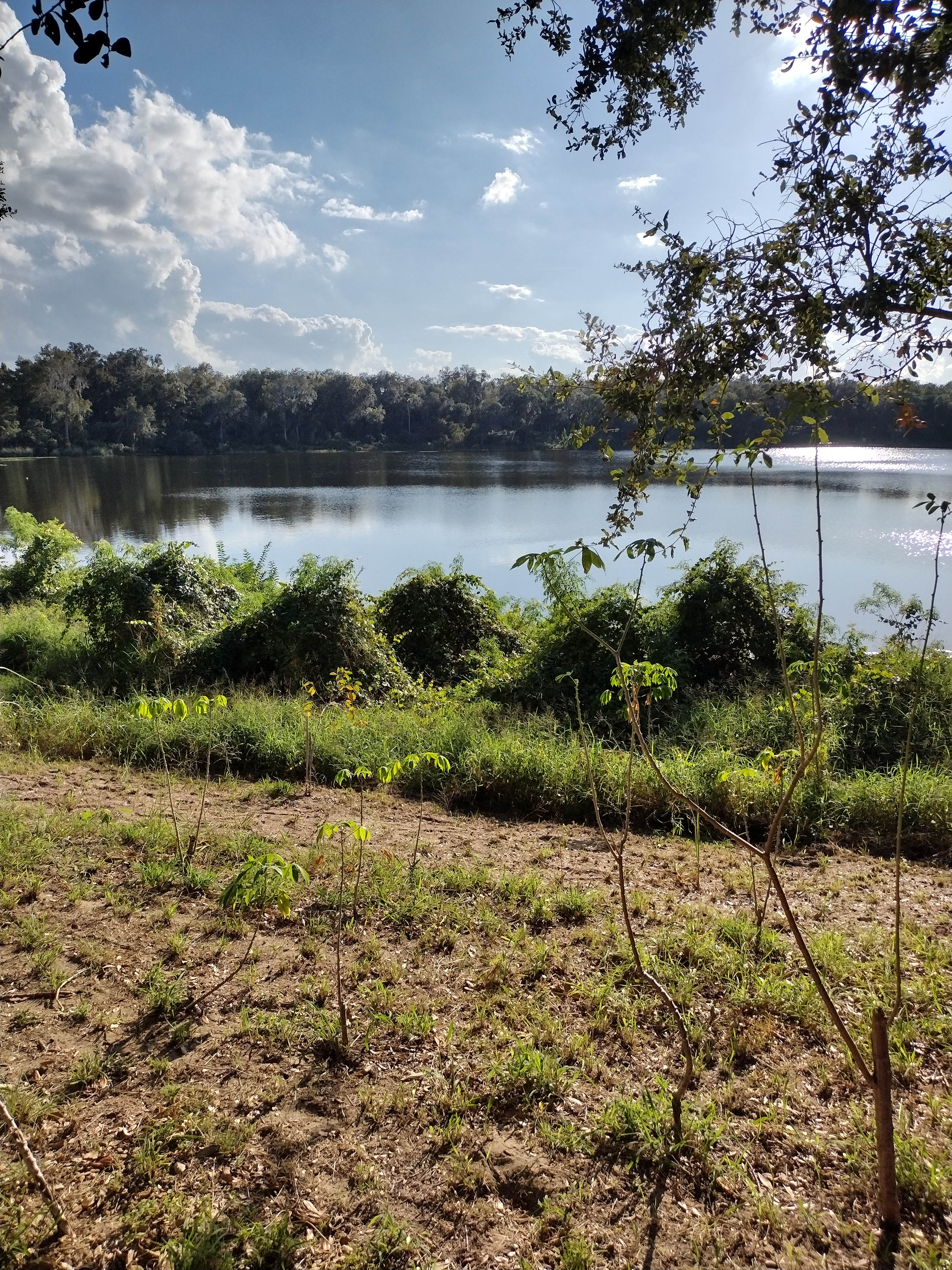 334 Lake Shepard Drive – photo 3