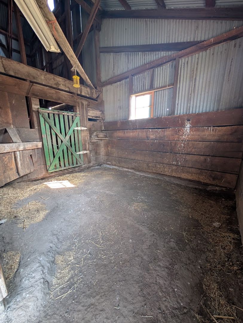 Picturesque Waha Farm House with 2 Horse Pastures – photo 4