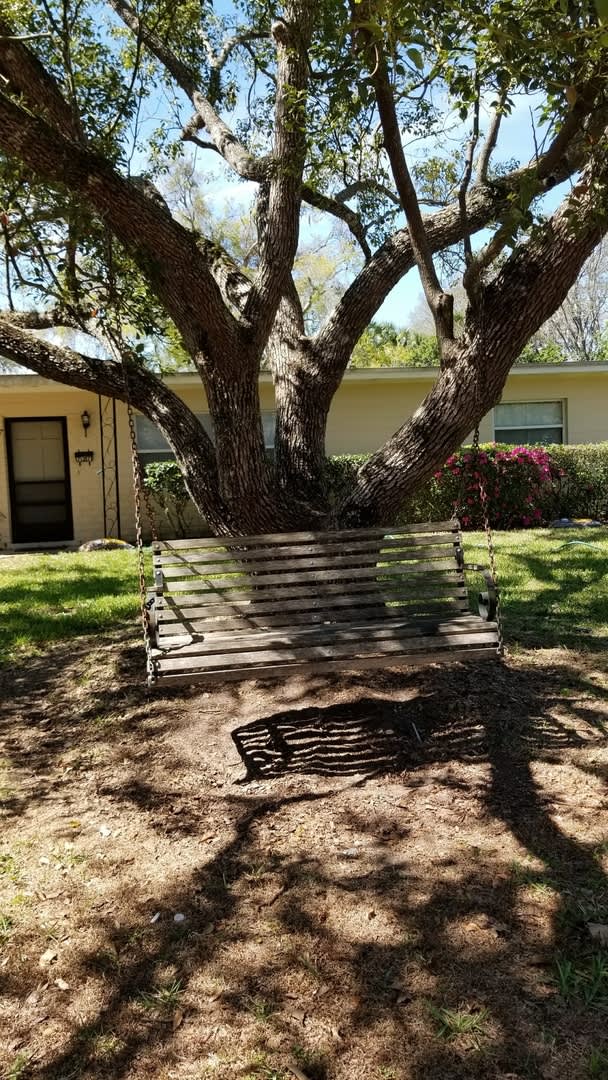 Three Bedroom 2 Bath In Winter Park – photo 3