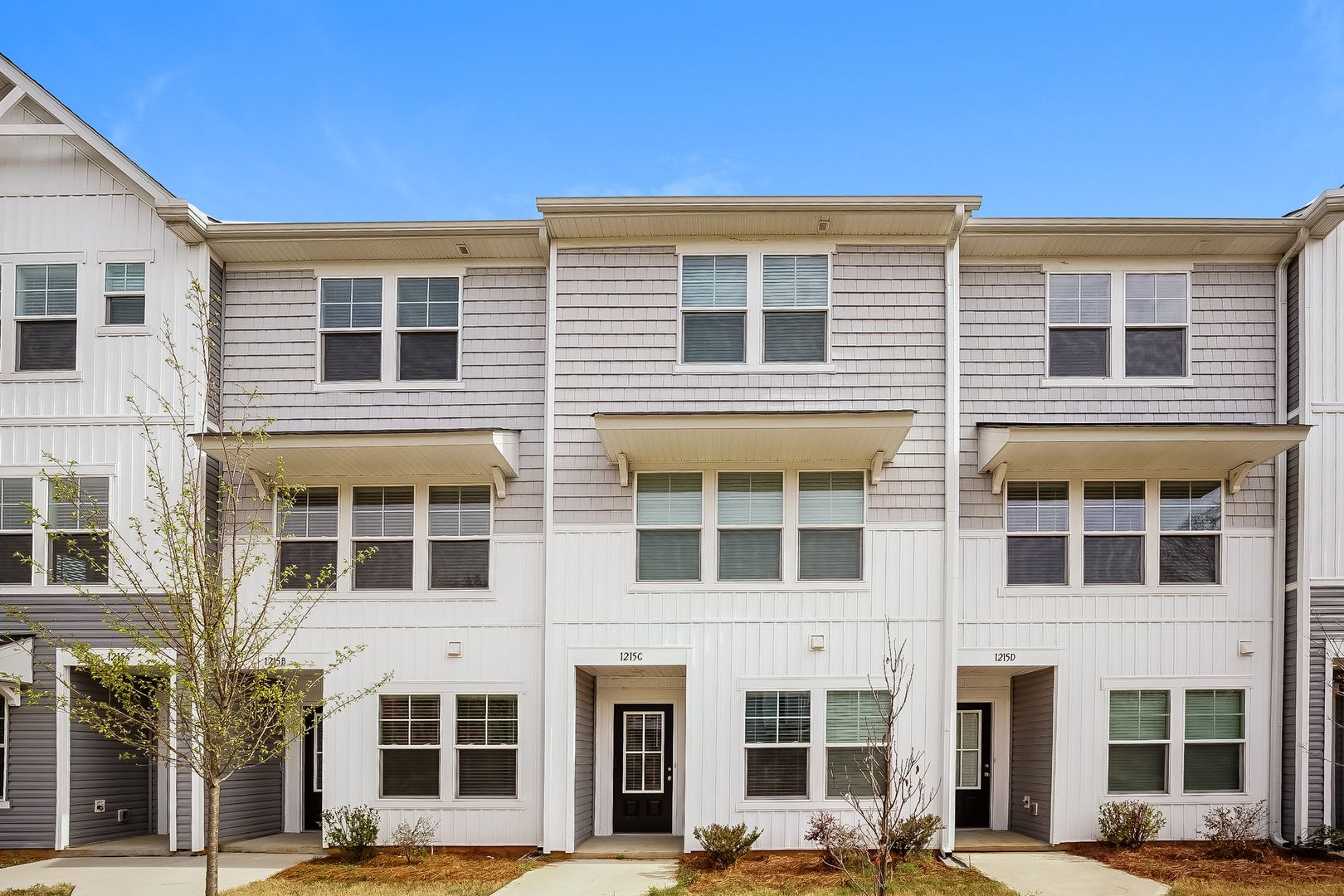 Brand New Townhome – photo 3
