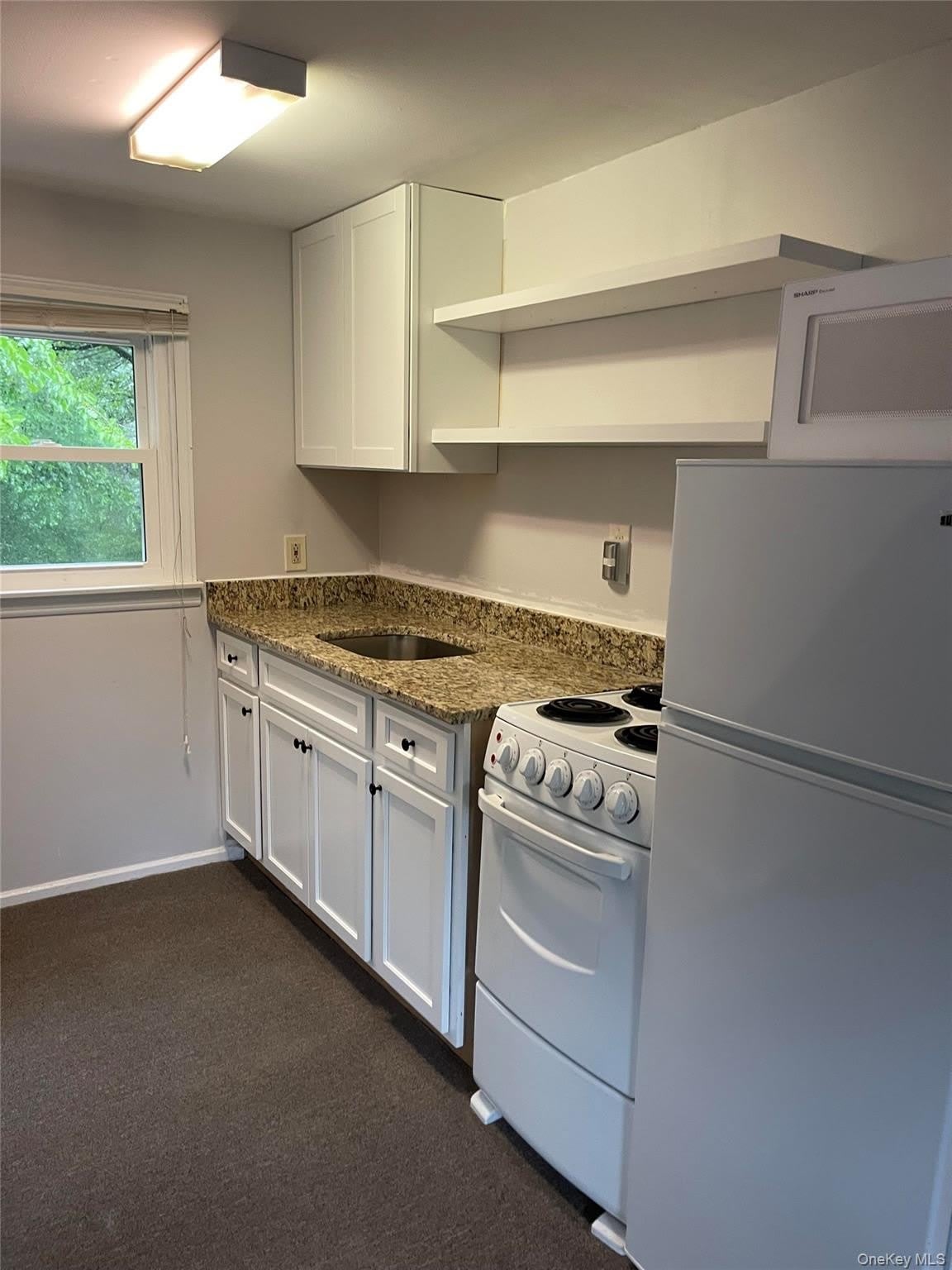 206 Dickinson Avenue – photo 2