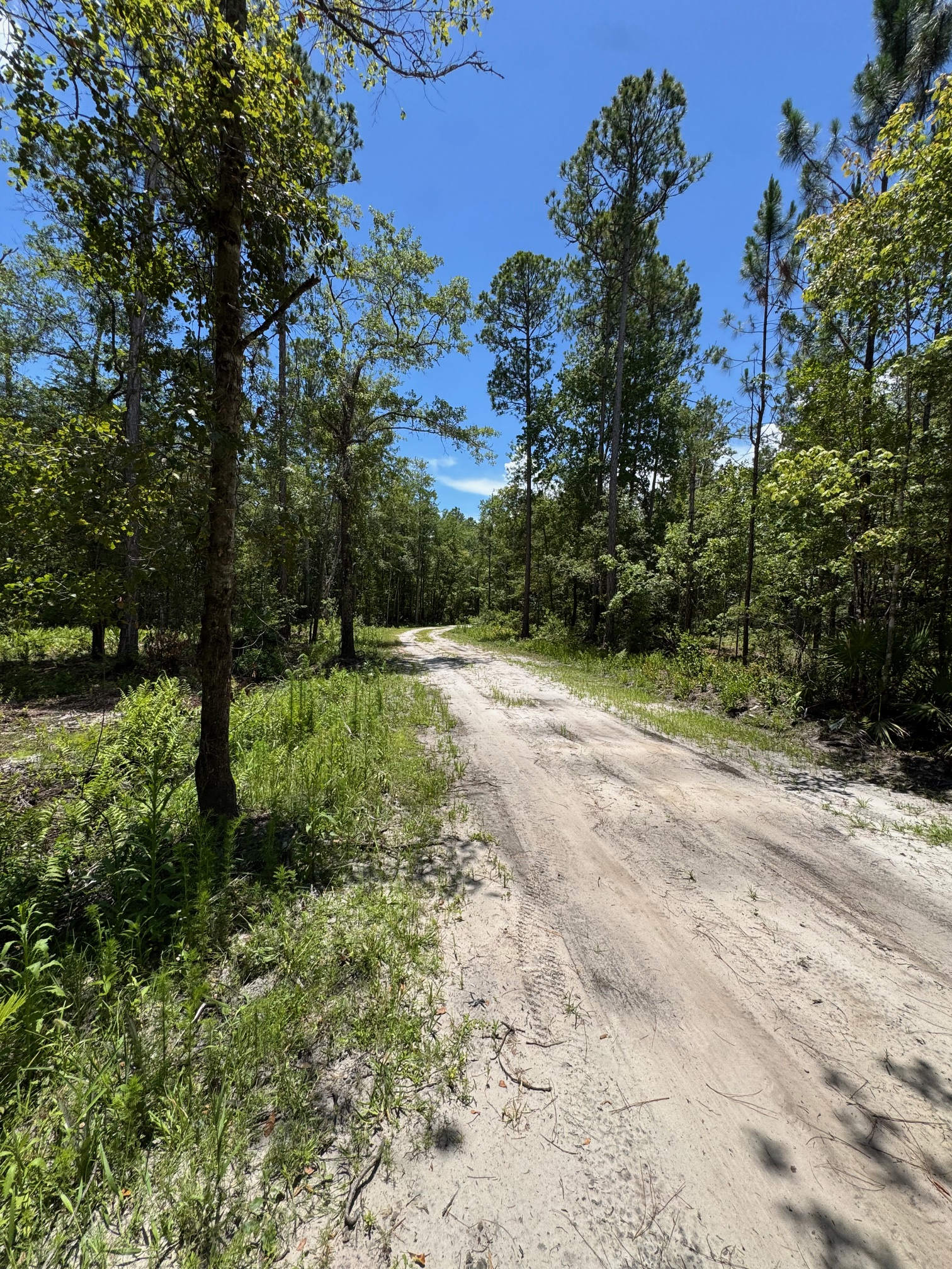 7420 NE 111th Place, Gainesville, FL 32609 – photo 5