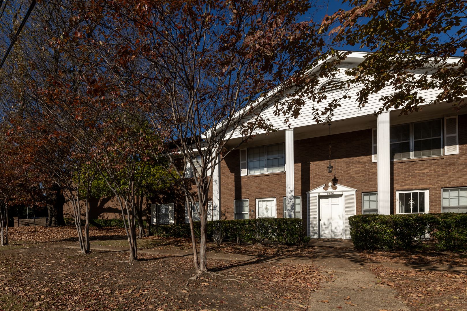 1026 Harrison St – photo 4