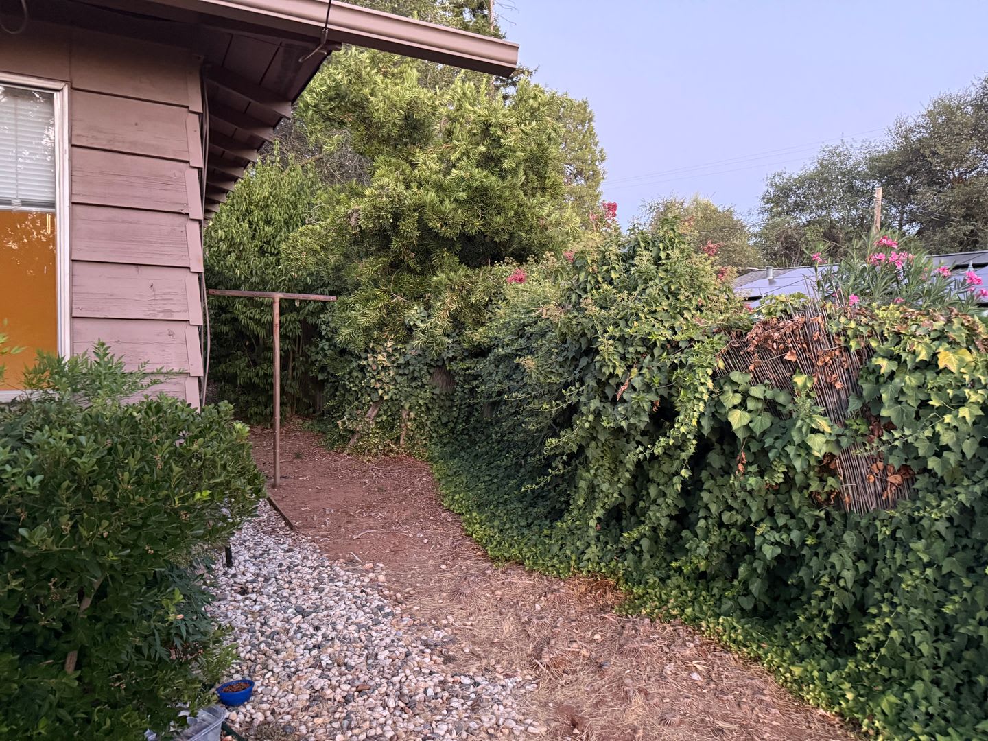 Quiet 2BR Foothills Home – photo 5