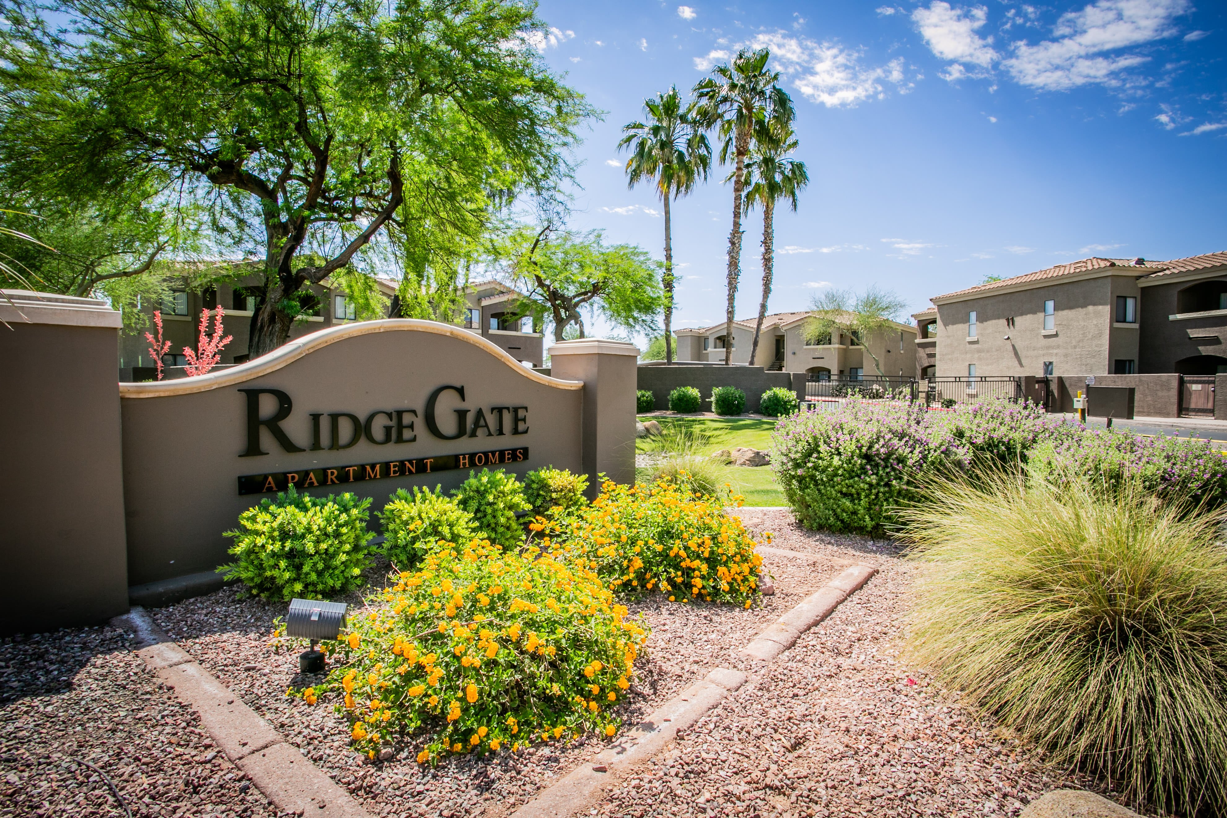 RidgeGate Apartments – photo 2