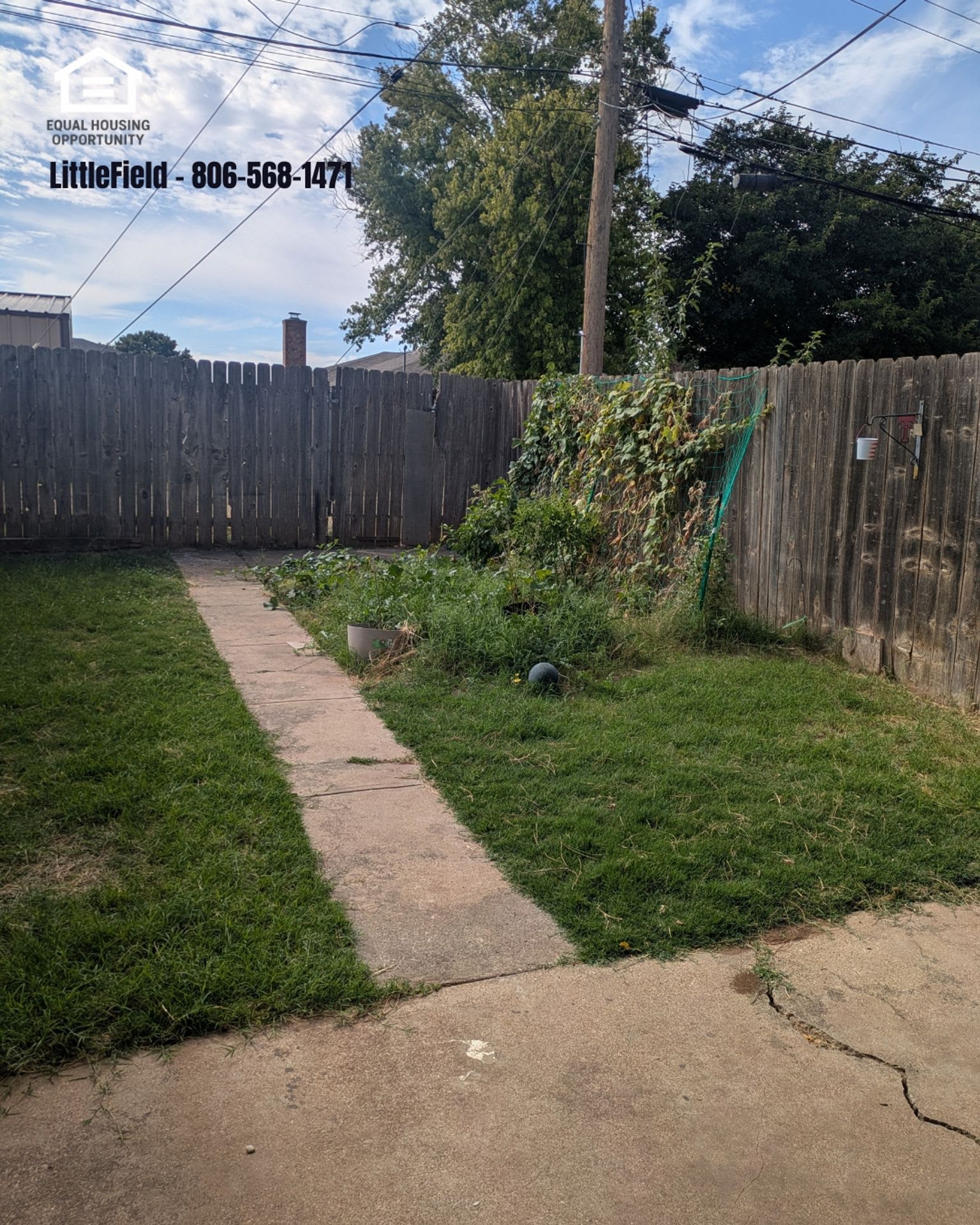 Littlefield Townhomes – photo 4