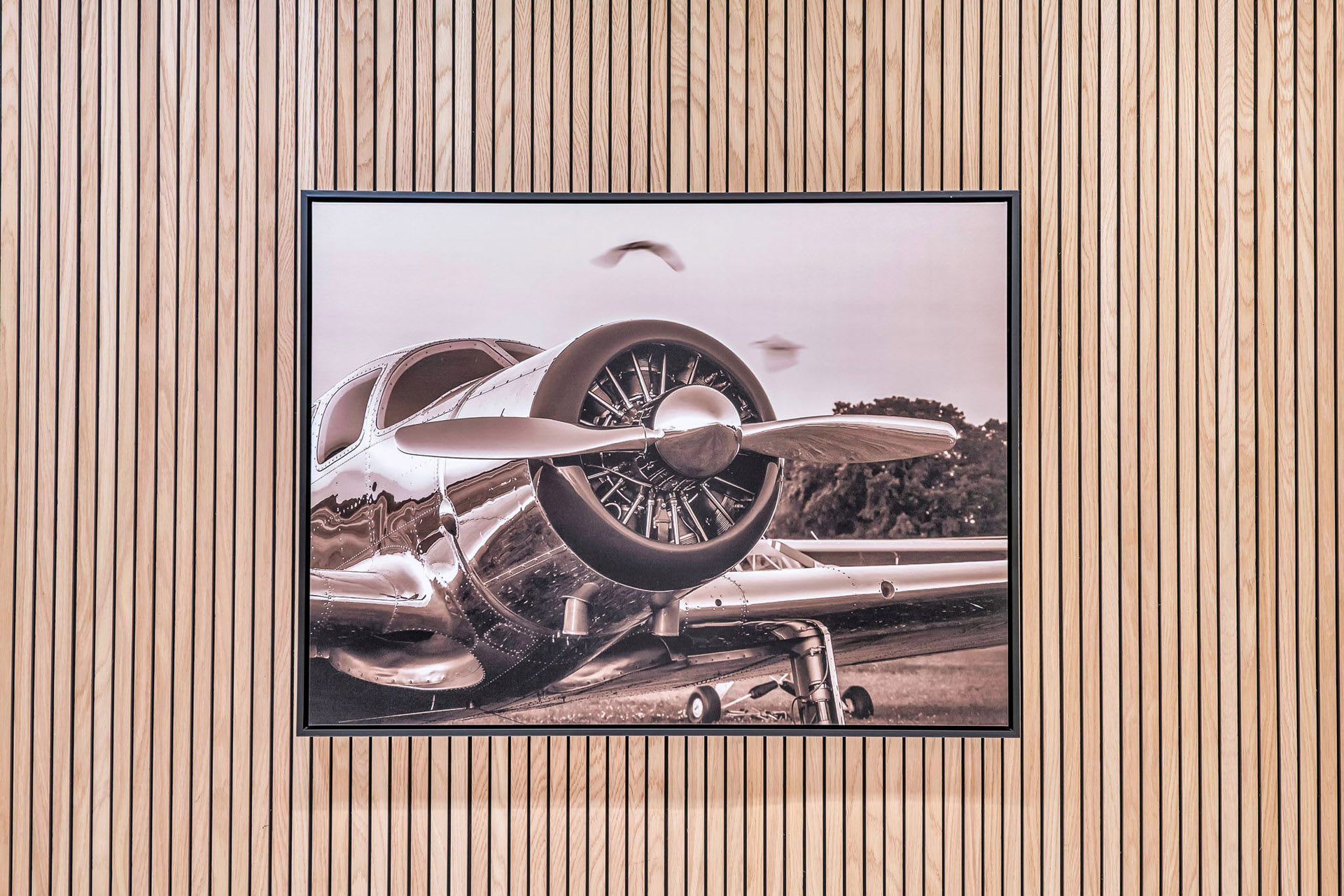 Aviator Lofts – photo 3