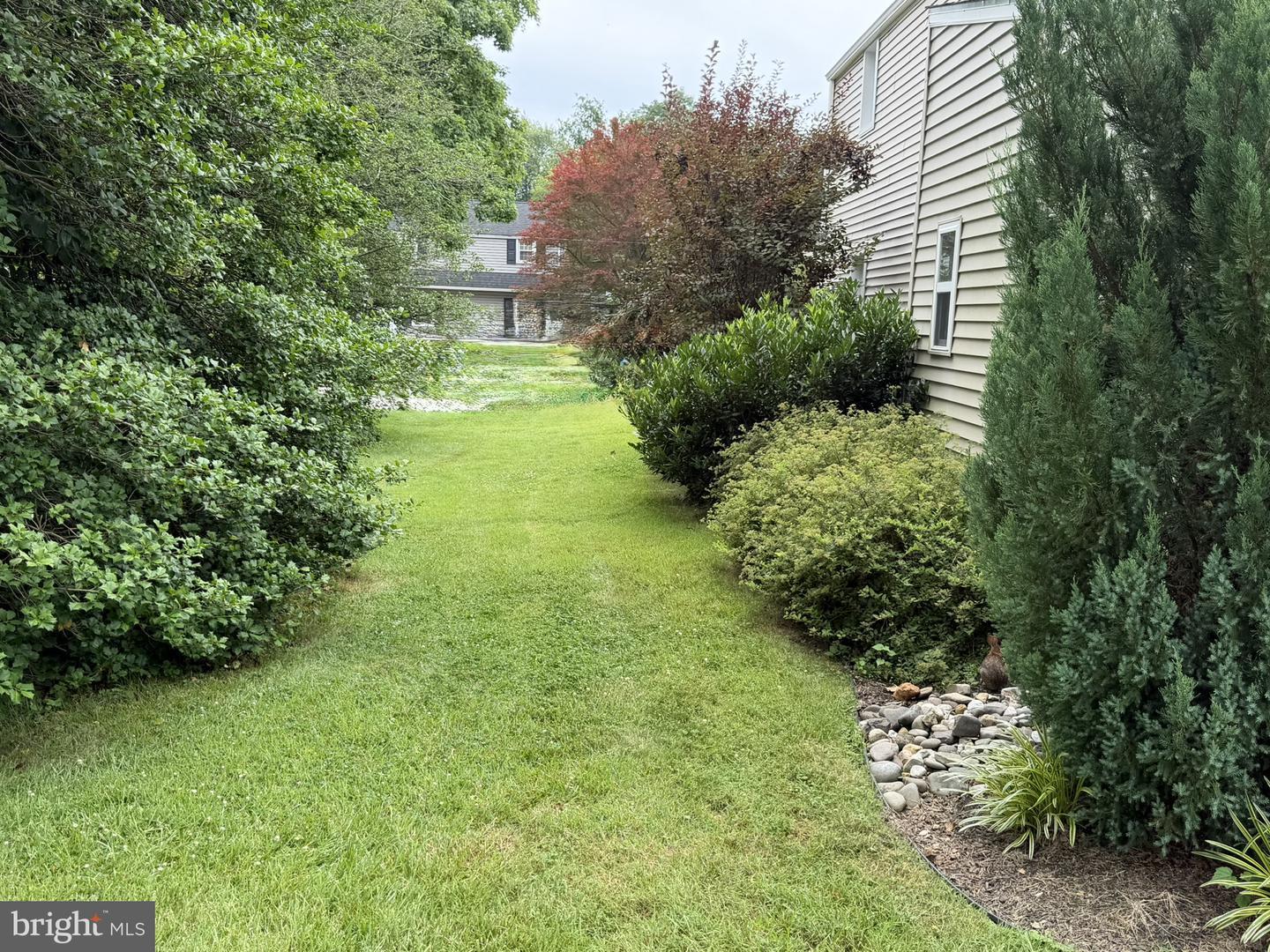 217 Lyster Rd – photo 4
