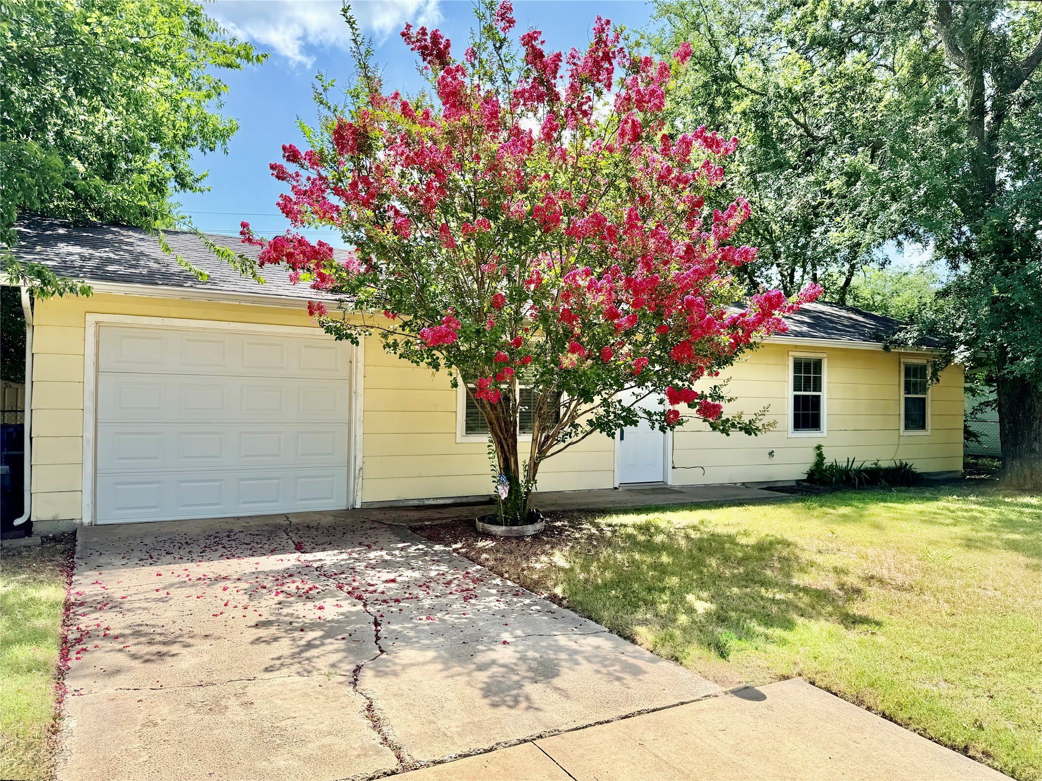 806 S 1st Street – photo 2