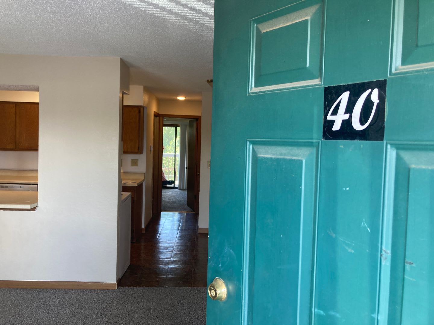 1 Bedroom 1 Bathroom Apartment! – photo 4