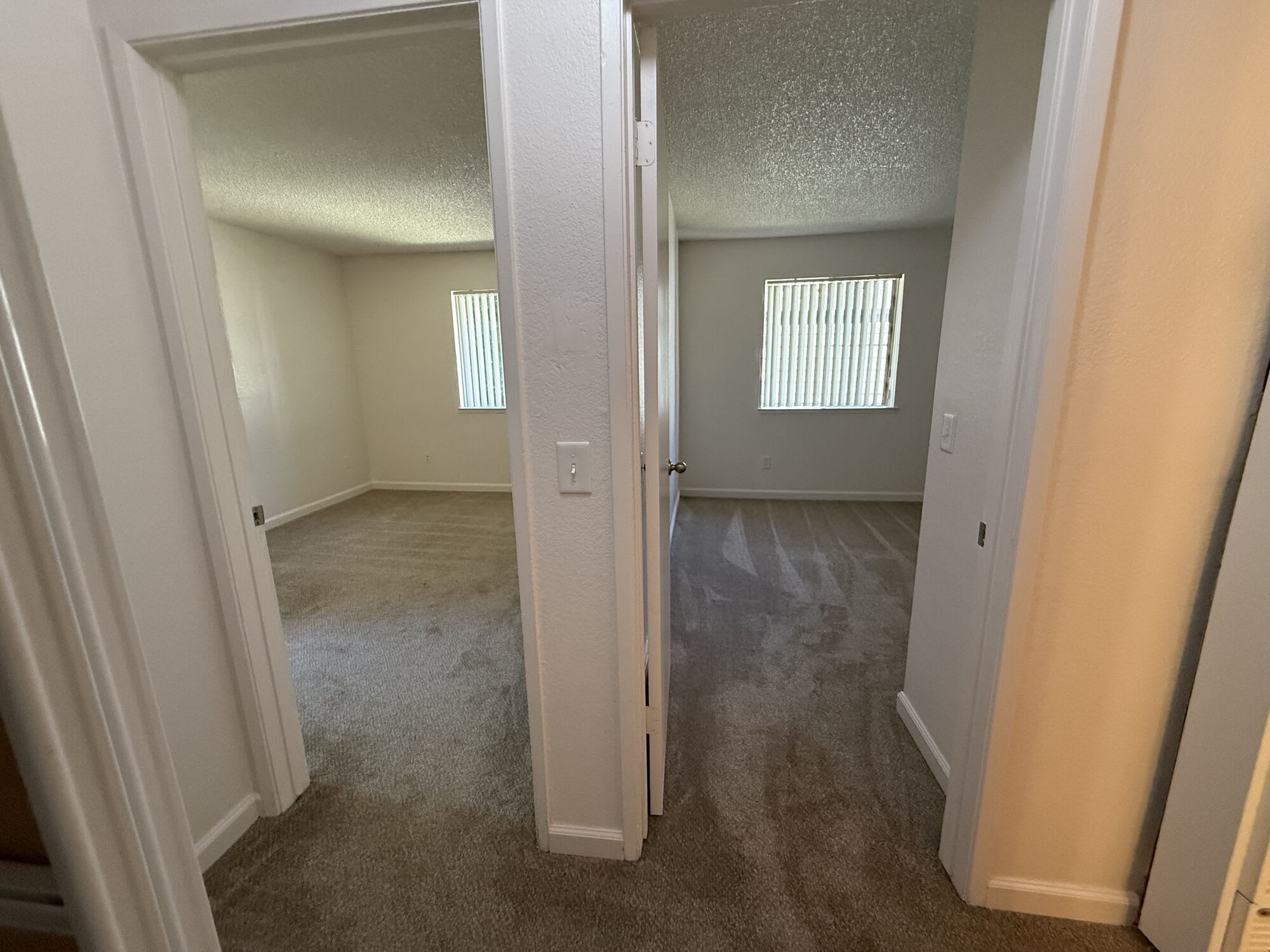 Shasta Terrace – photo 4