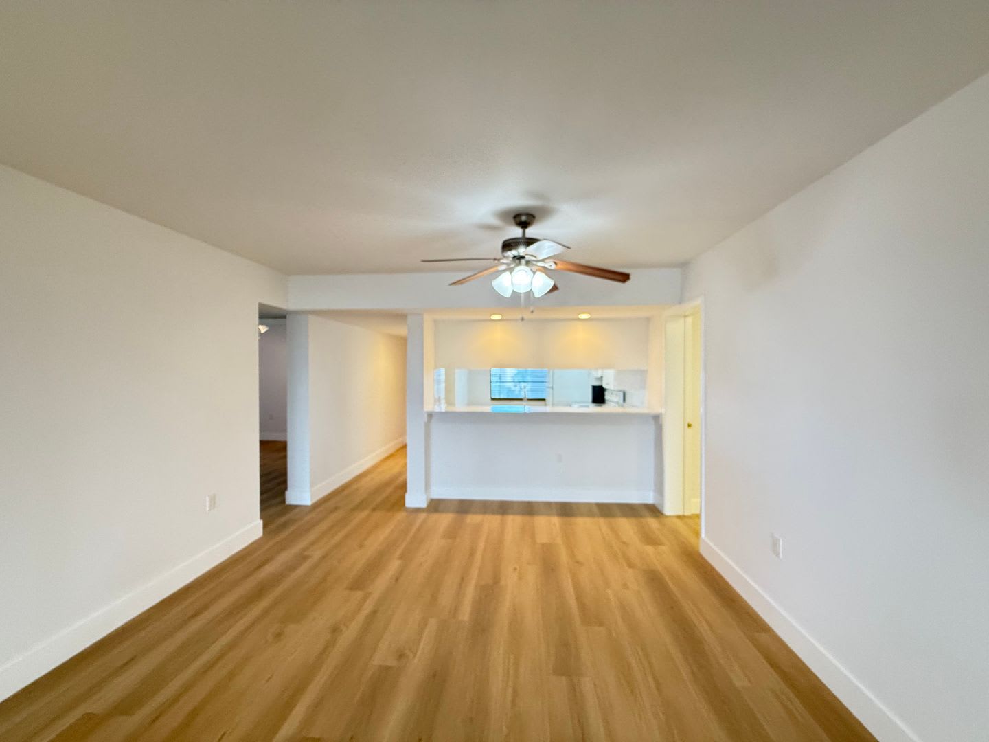 Sun-Filled Penthouse Unit – photo 4