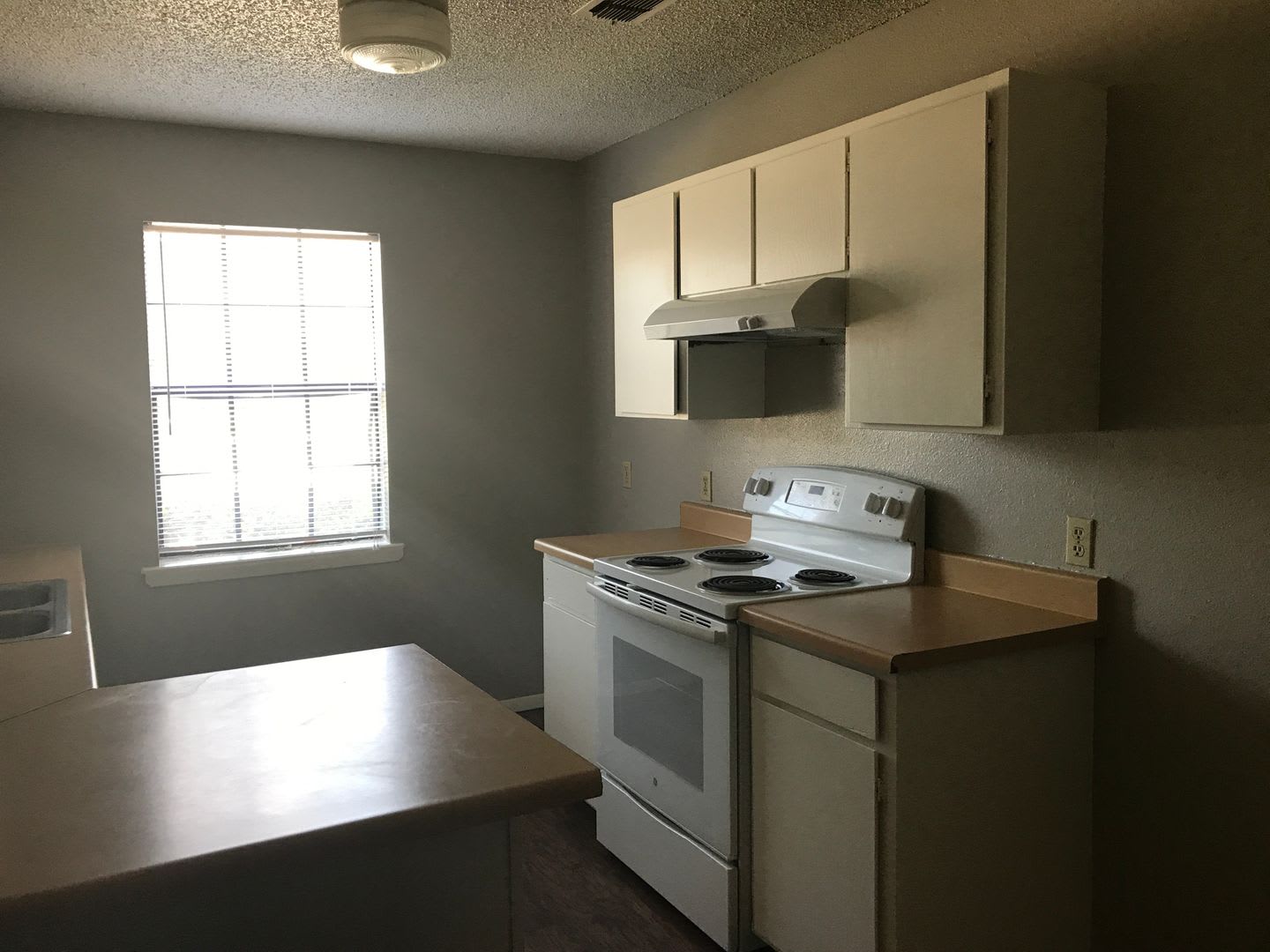 3/2 Fenced yard and Pet Friendly PTISD – photo 4