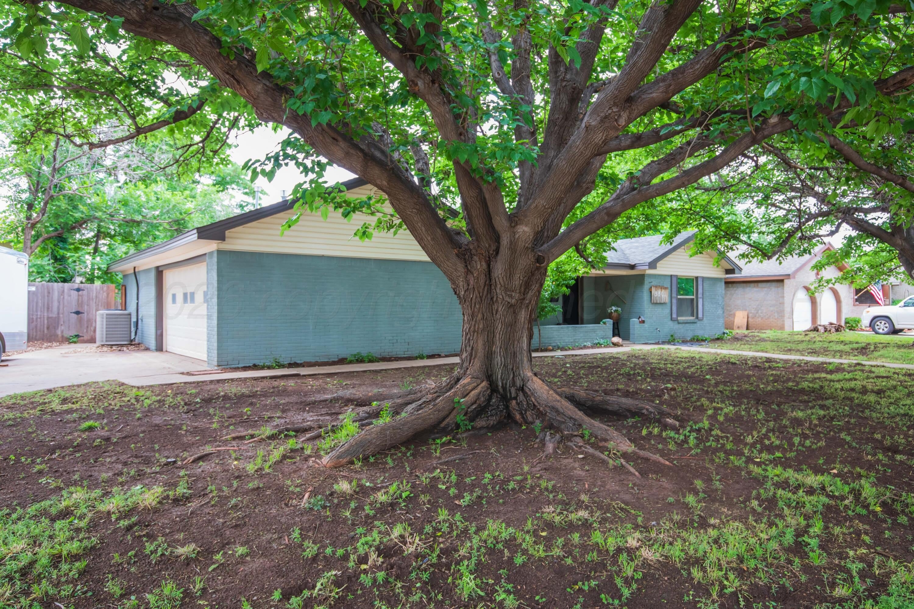 3301 Palmetto Trail – photo 3