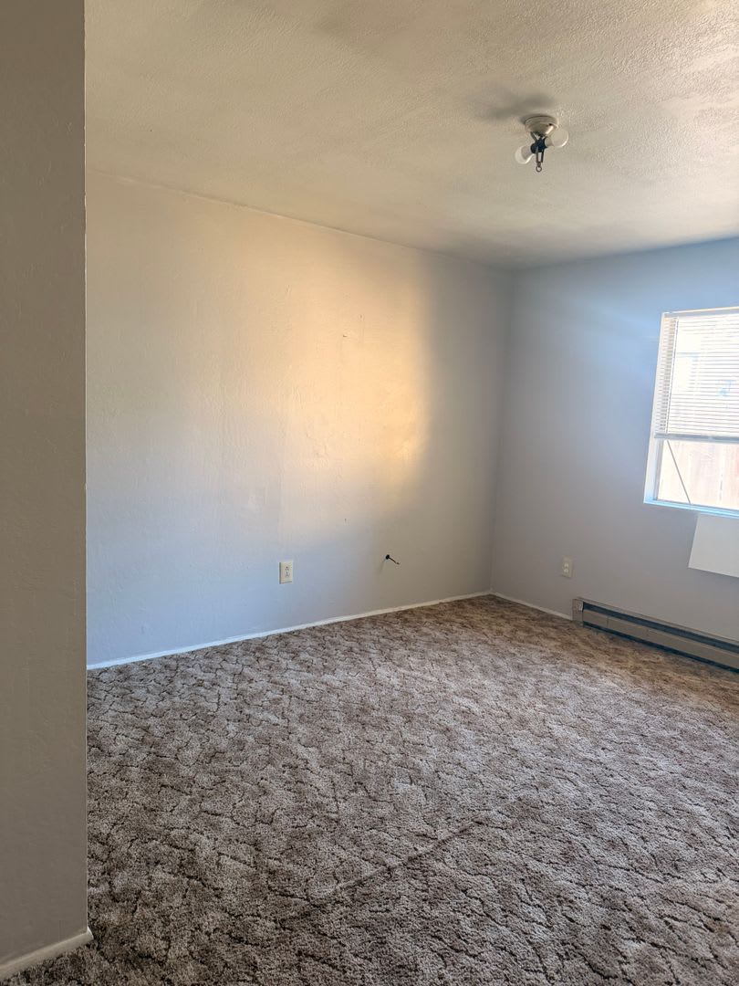 24 Short St – photo 4