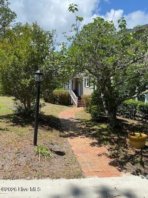 917 Rolling Hills Cove – photo 3