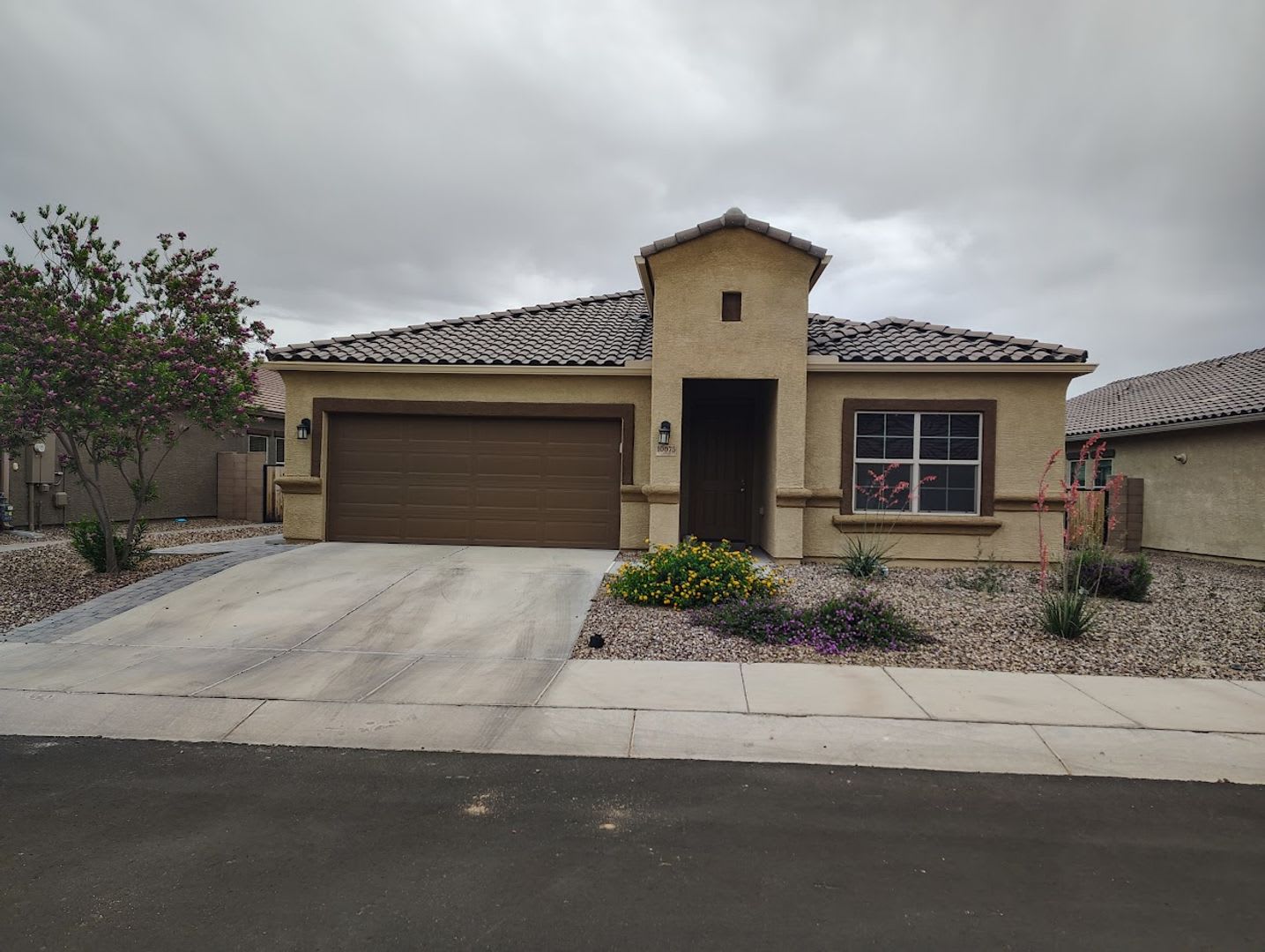 10075 N. Sand Sage Trail (85653) – photo 2