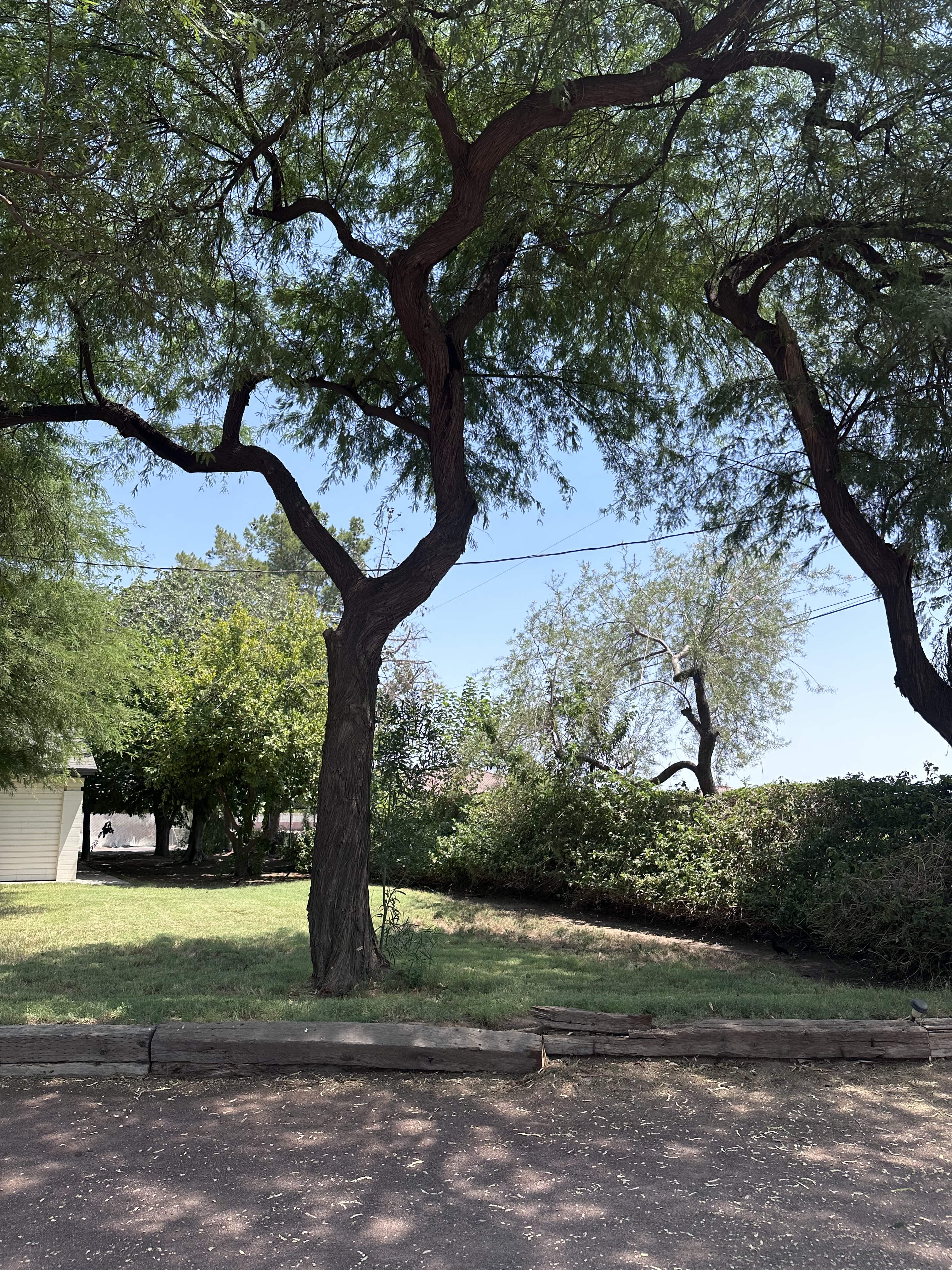 12114 E Victoria St – photo 4