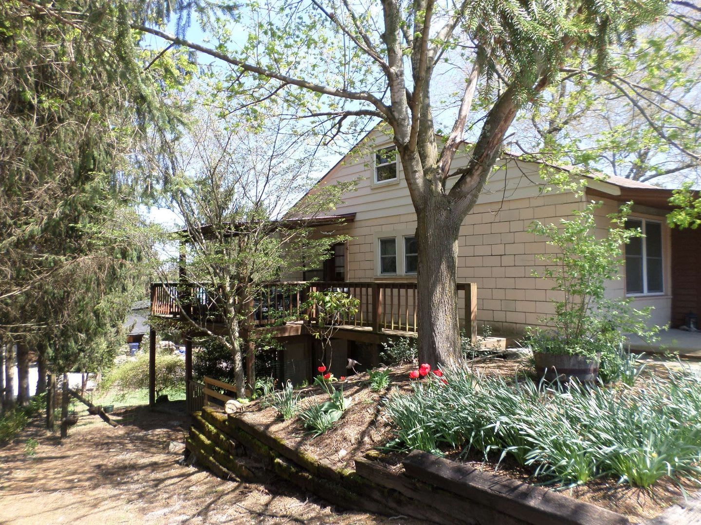 3 Bedroom 1 Bath House – photo 3