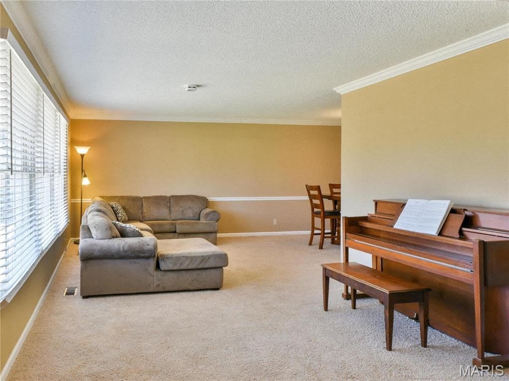 2 Sunny Forest Court – photo 3