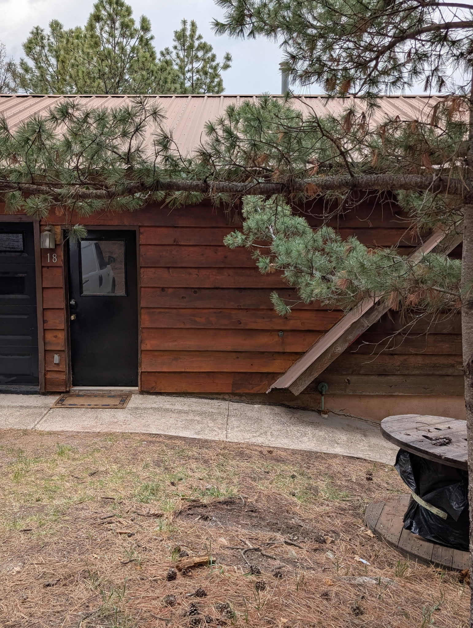 18 Silver Fox Trail – photo 4
