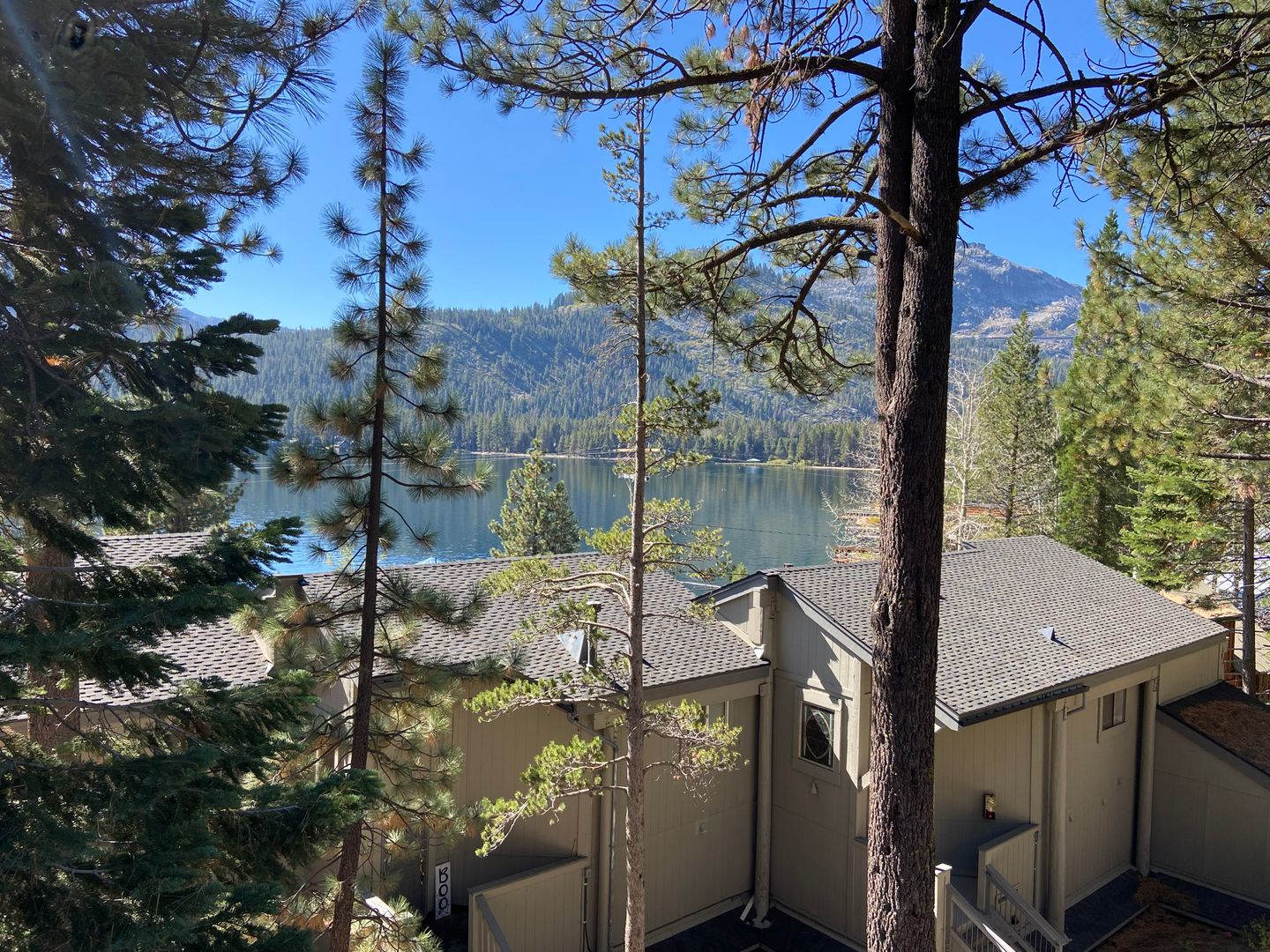 Tenant Needed for Shared Full-time Rental – photo 1